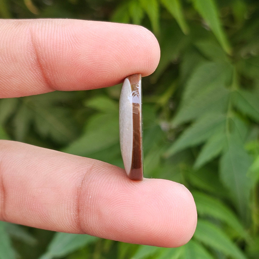 Natural Sulemani Aqeeq, (Agate) gemstone, Weight: 23.75 Carat