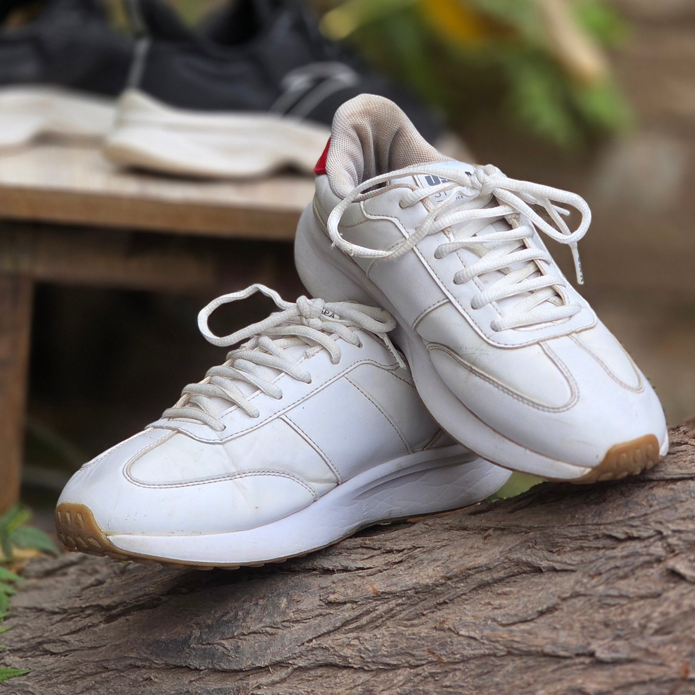 Size 6.5 U.S. Polo Assn. REMUS 3PR Lace-Up Sneakers | Ghazali Style