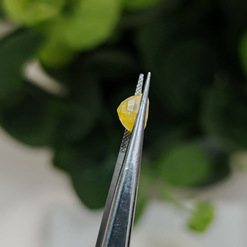 Natural Yellow Sapphire – 3.04 Carat | Authentic GGI Certified Gem