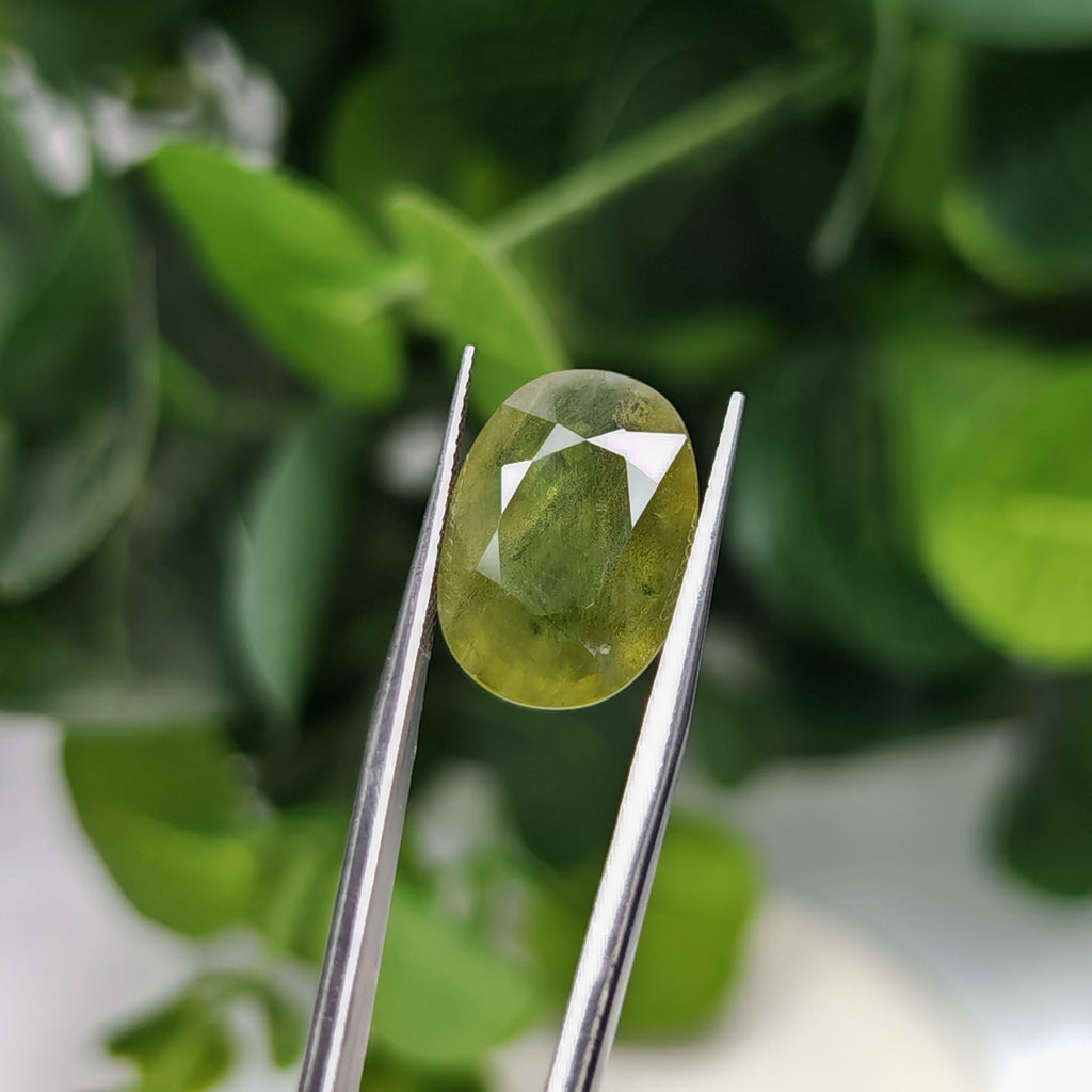 Natural Green Sapphire – 11.26 Carat | Authentic Certified Gem