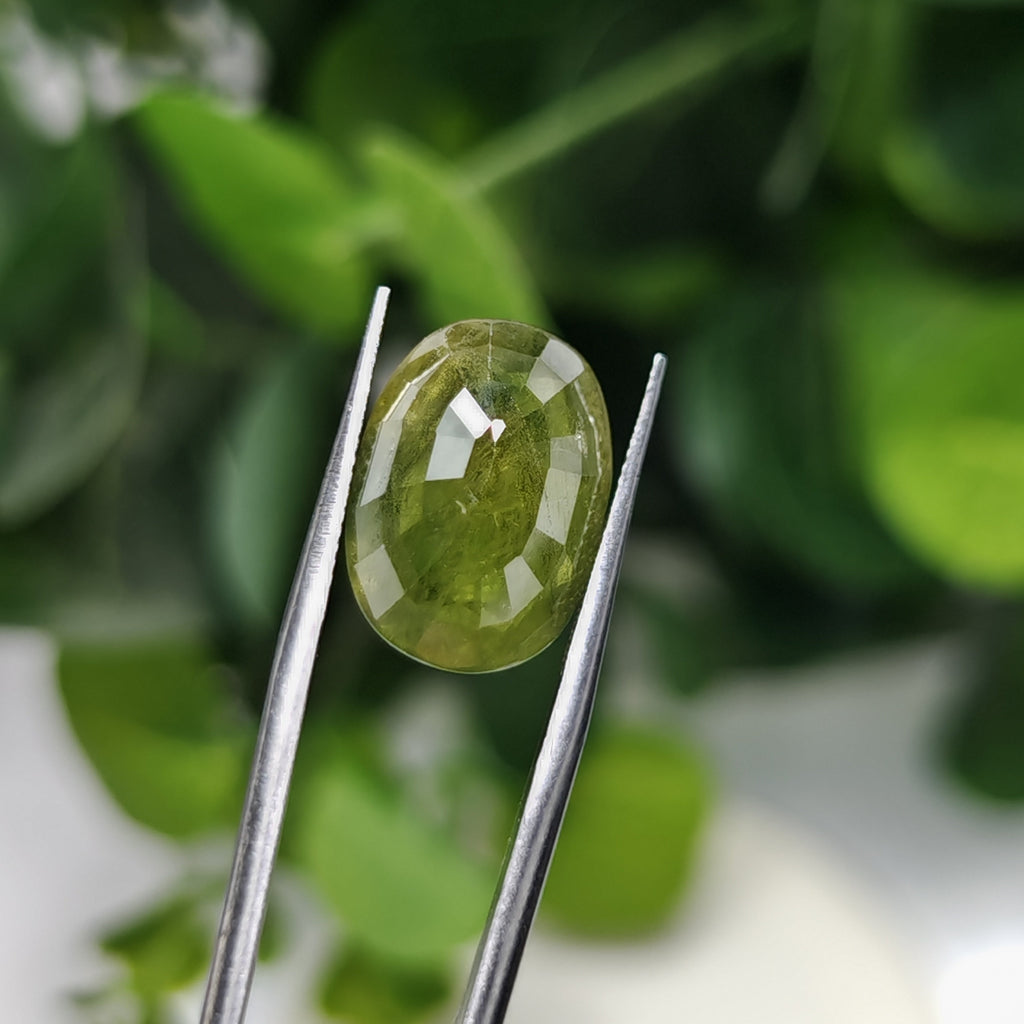 Natural Green Sapphire – 11.26 Carat | Authentic Certified Gem