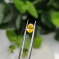 Natural Yellow Sapphire – 1.50 Carat | Authentic GGI Certified Gem