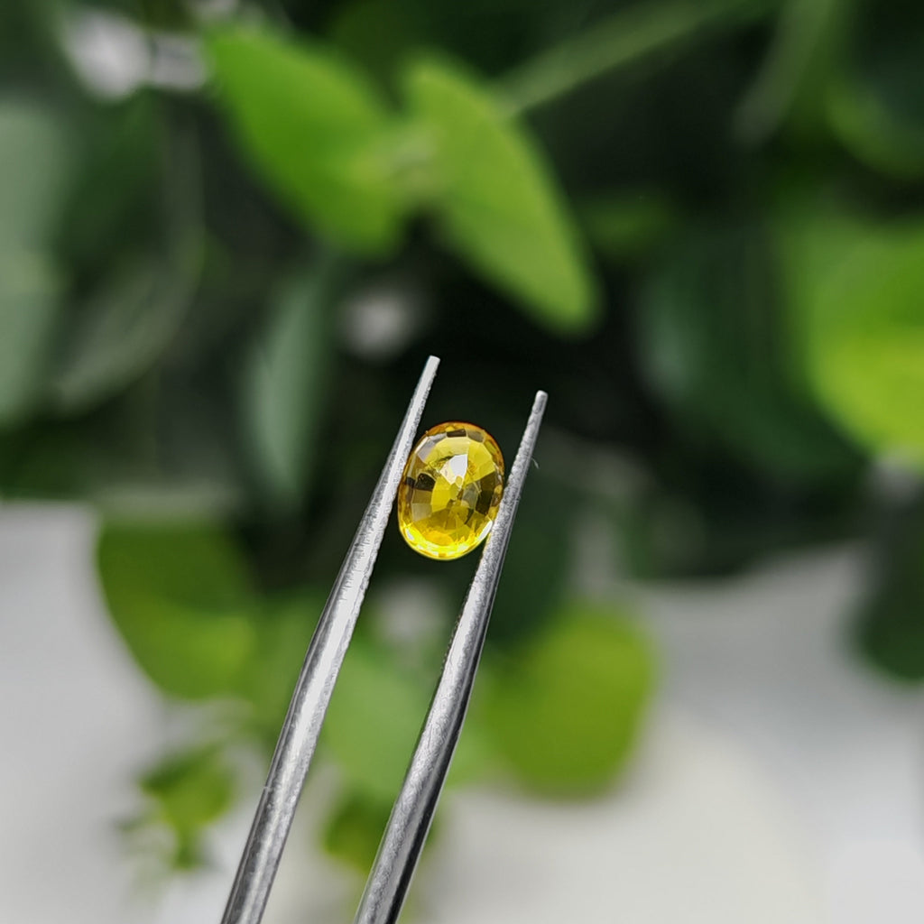 Natural Yellow Sapphire – 1.50 Carat | Authentic GGI Certified Gem