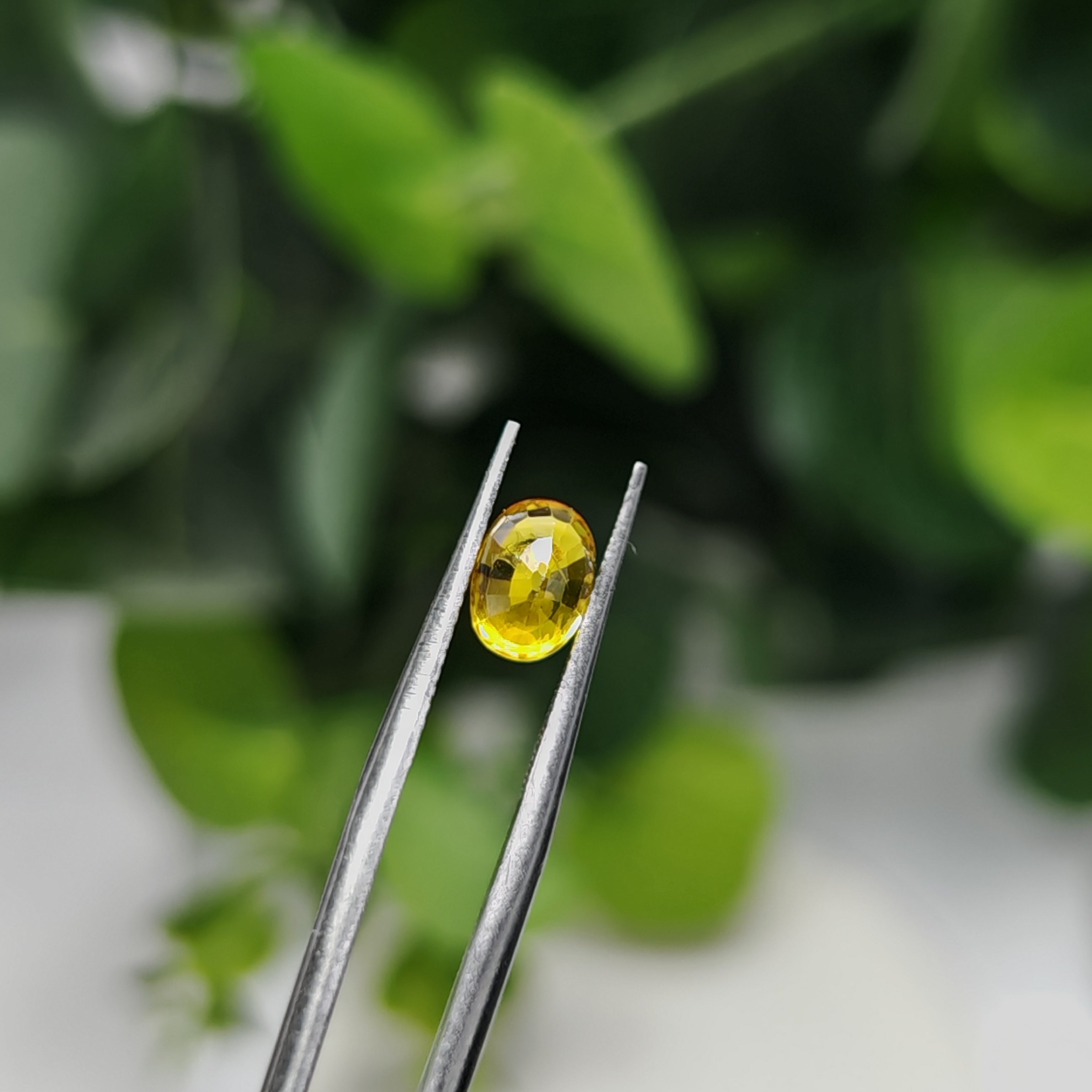 Natural Yellow Sapphire – 1.50 Carat | Authentic GGI Certified Gem