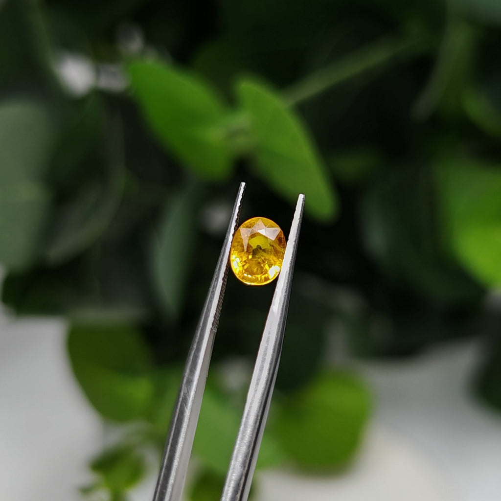 Natural Yellow Sapphire – 1.47 Carat | Authentic GGI Certified Gem