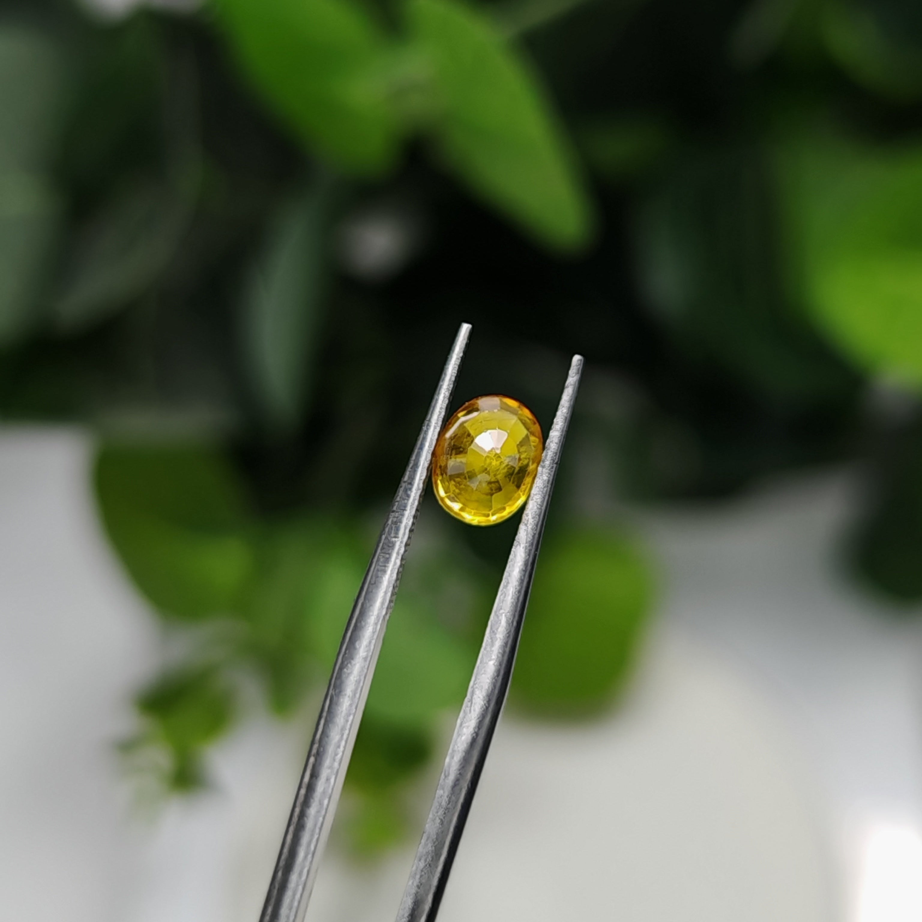 Natural Yellow Sapphire – 1.47 Carat | Authentic GGI Certified Gem