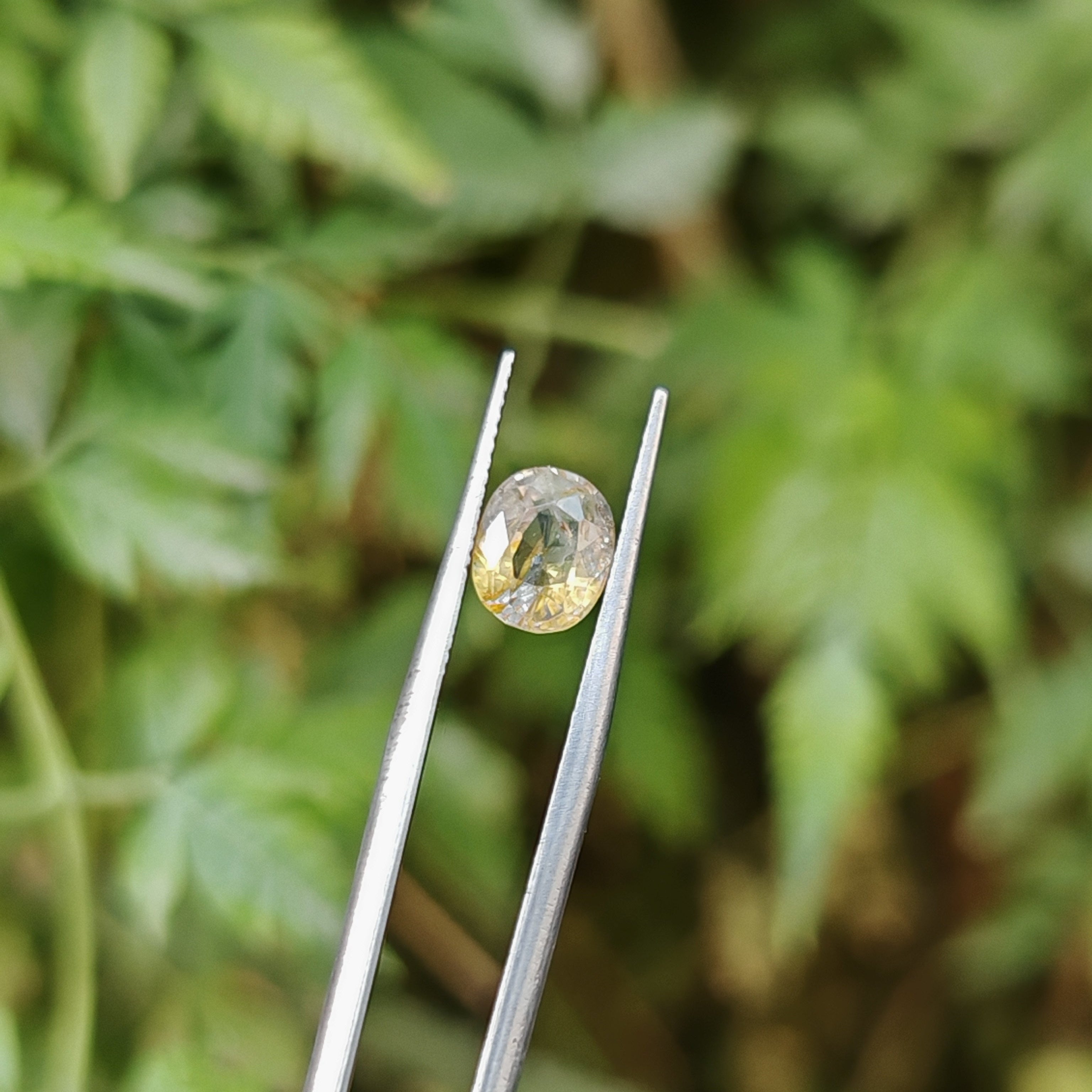 Natural Yellow Sapphire – 1.90 Carat | Authentic GGI Certified Gem