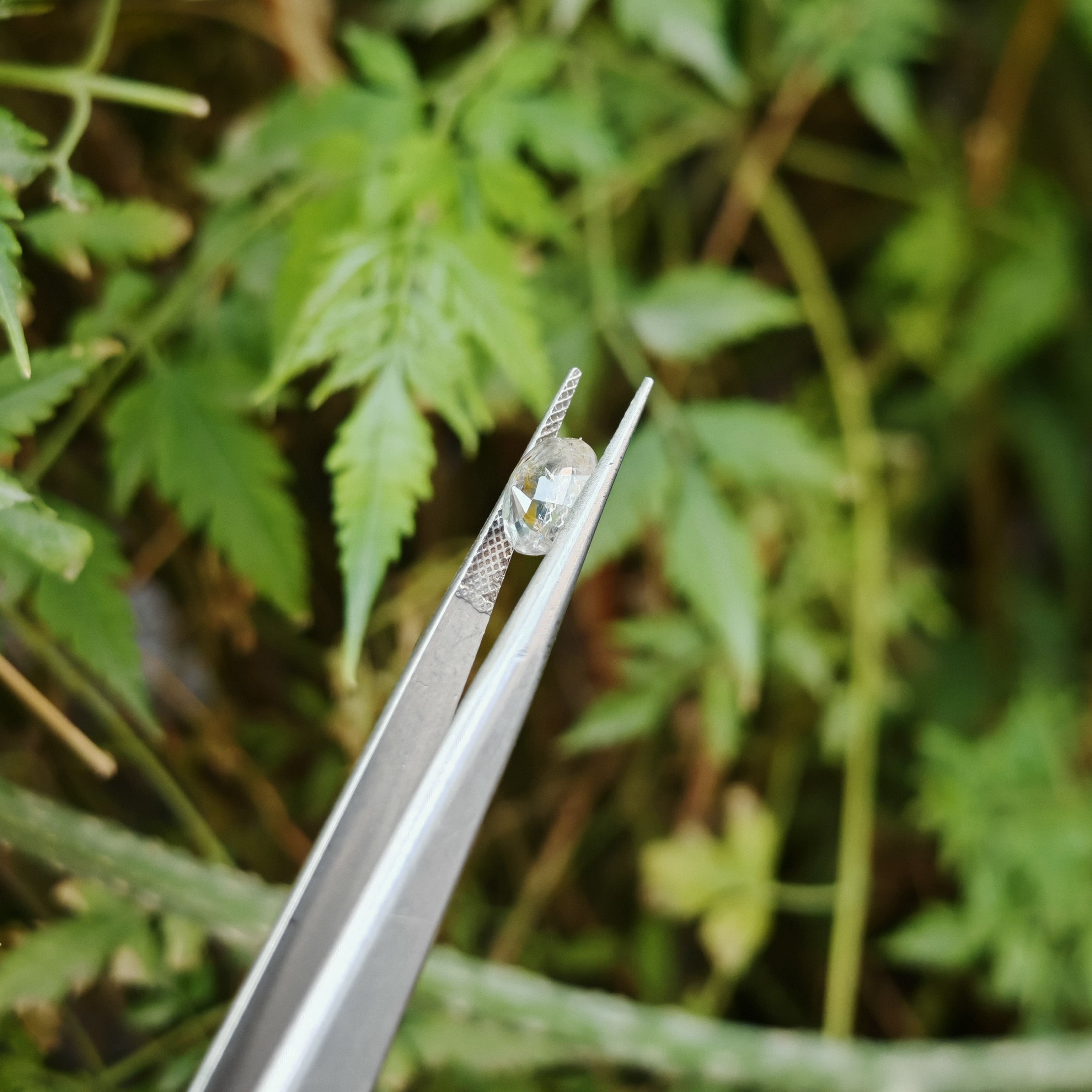 Natural Yellow Sapphire – 1.90 Carat | Authentic GGI Certified Gem