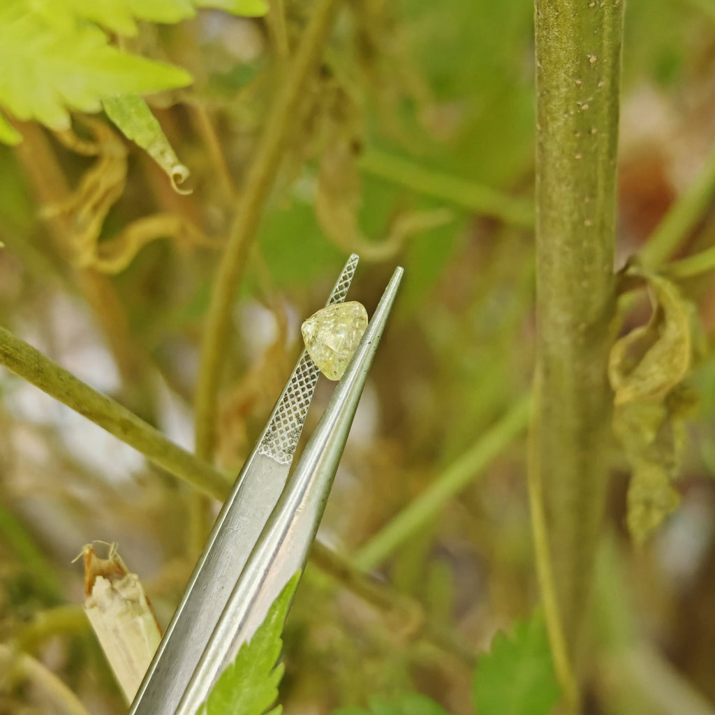 Natural Yellow Sapphire – 1.07 Carat | Authentic GGI Certified Gem
