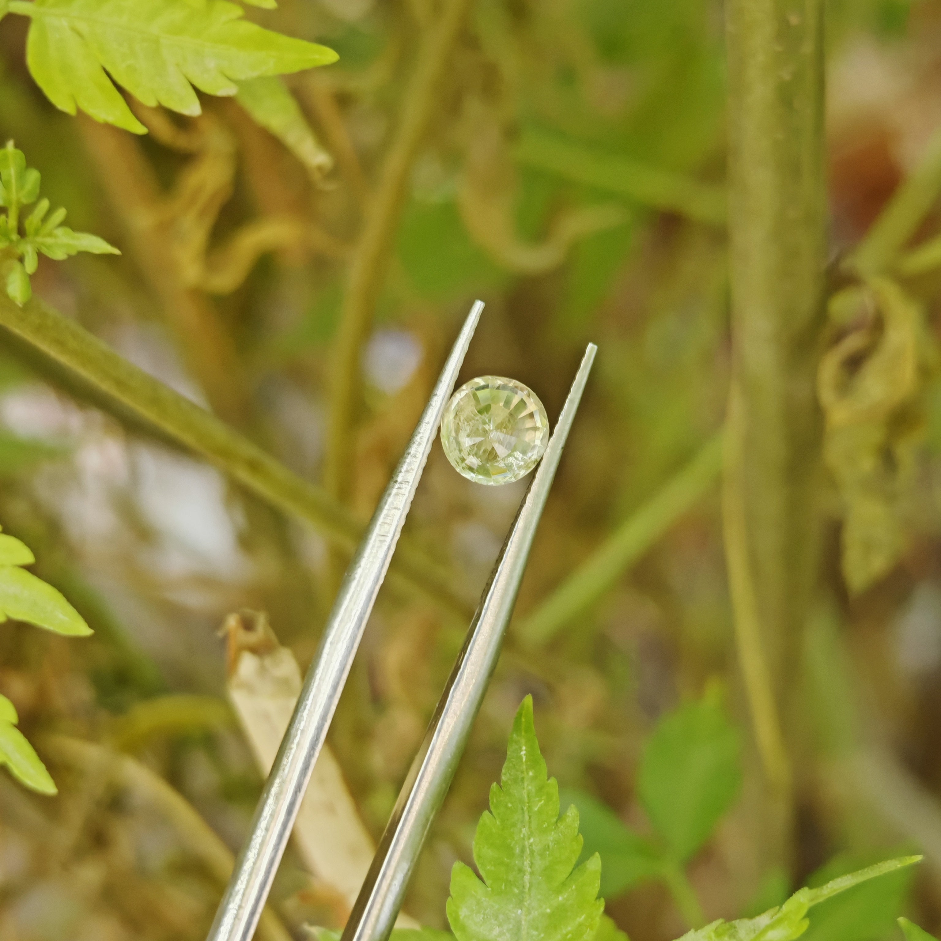 Natural Yellow Sapphire – 1.07 Carat | Authentic GGI Certified Gem