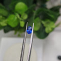 Natural Blue Sapphire – 1.02 Carat | Authentic GGI Certified Gem
