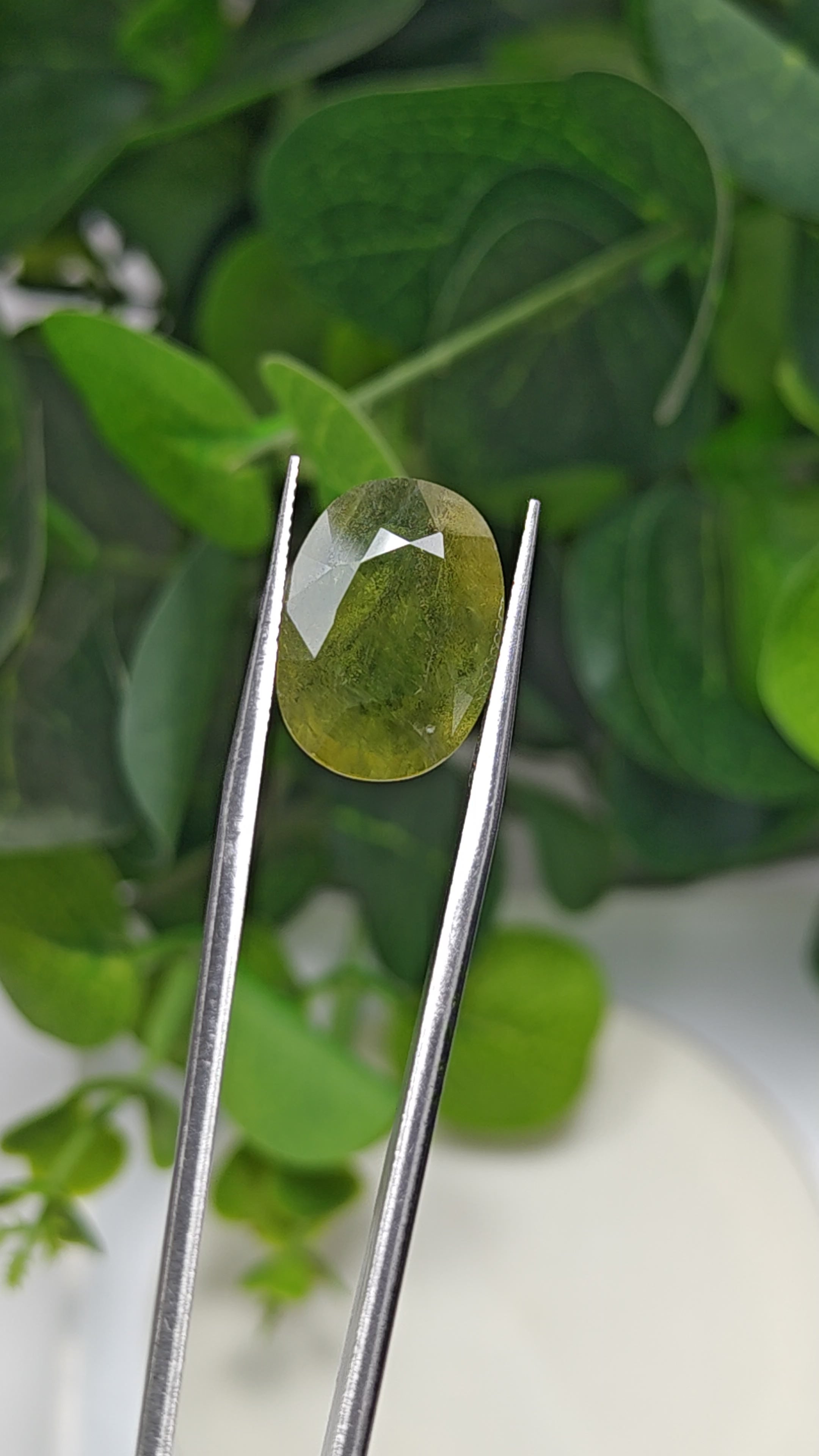 Natural Green Sapphire – 11.26 Carat | Authentic Certified Gem