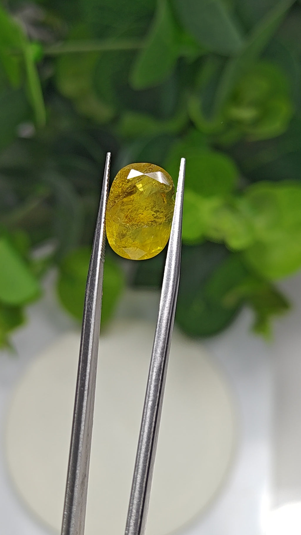 Natural Yellow Sapphire – 6.10 Carat | Authentic GGI Certified Gem