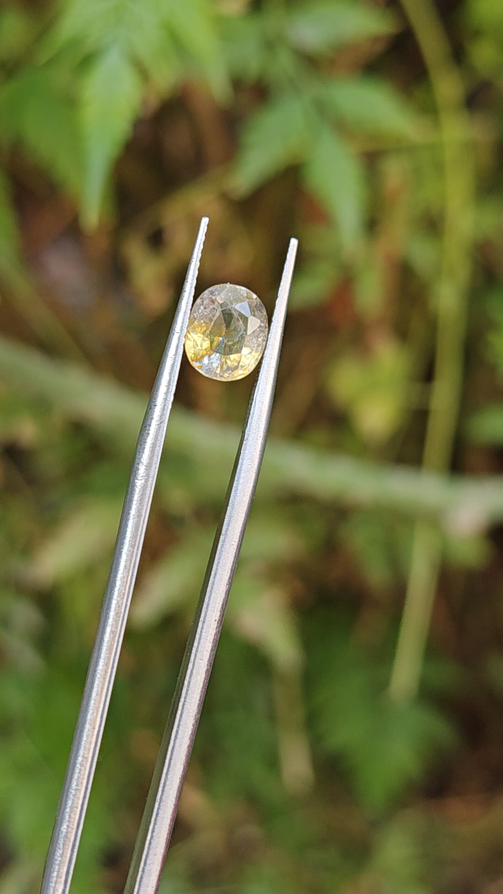 Natural Yellow Sapphire – 1.90 Carat | Authentic GGI Certified Gem