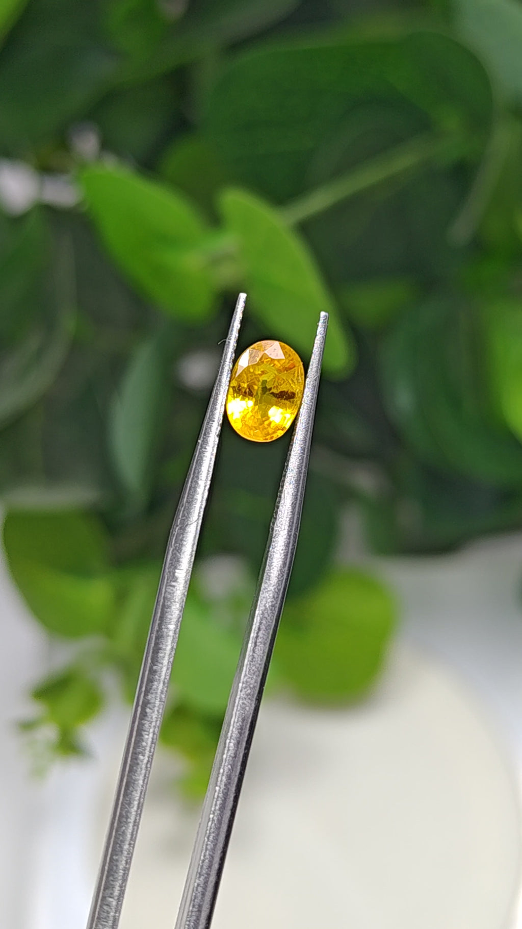 Natural Yellow Sapphire – 1.50 Carat | Authentic GGI Certified Gem