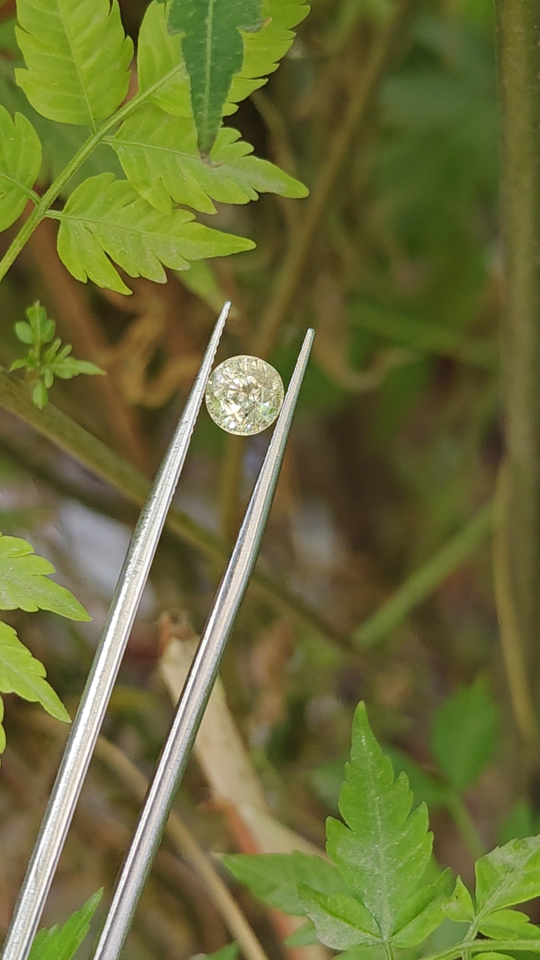 Natural Yellow Sapphire – 1.07 Carat | Authentic GGI Certified Gem